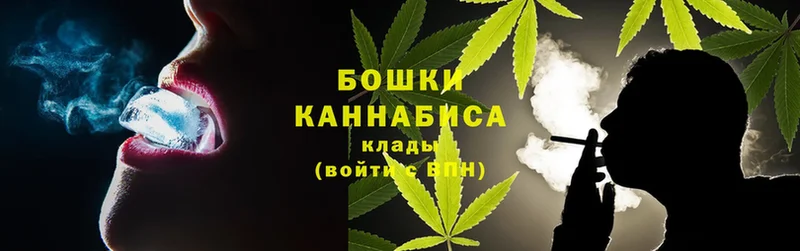 Каннабис Amnesia  купить закладку  Красноуральск 